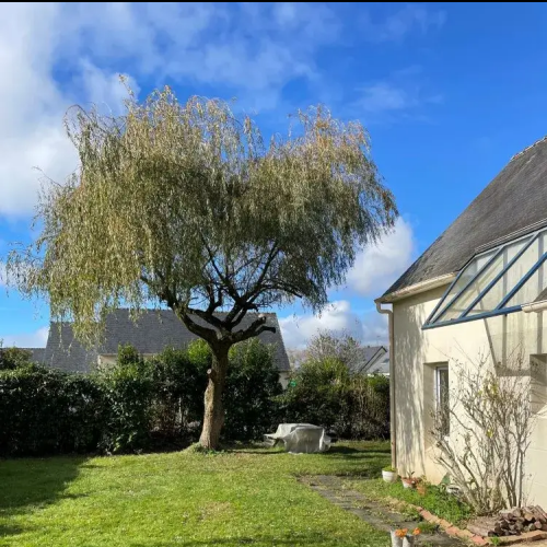 Octobre 2025 : travaux élagage et abattage